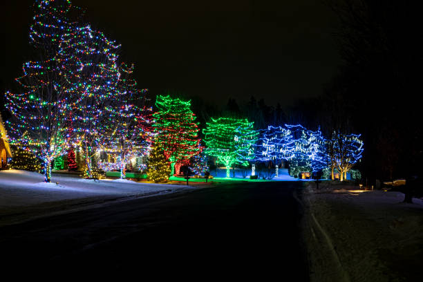 istock colorful holiday lights display in suburb 1361013858