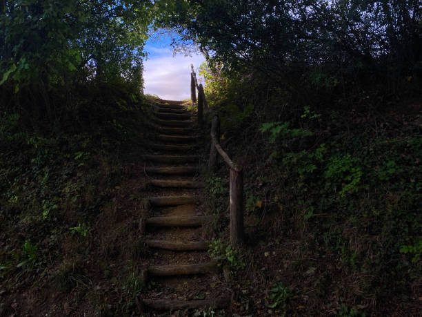 Mystic stairway in the forest leading to the sky.