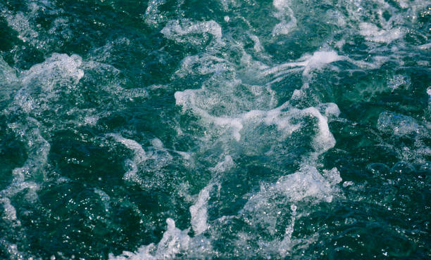 istock White crest of a sea wave. Selective focus. Shallow depth of field. 1361016667