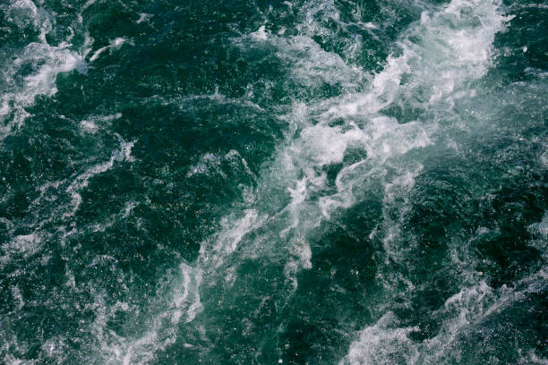 istock White crest of a sea wave. Selective focus. Shallow depth of field. 1361016880