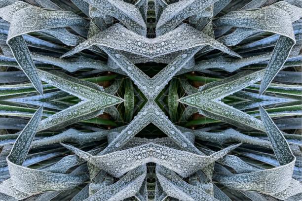 istock abstract geometric patterns with frost and snow digitally generated images of natural phenomena. 1361018263