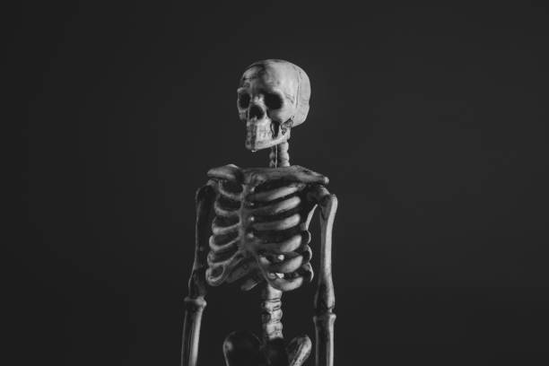 istock Mannequin of human skeleton opposite black background. 1361026084