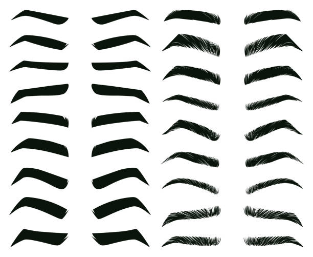 cartoon augenbrauen formen, dünne, dicke und geschwungene augenbrauen. klassische augenbrauen, brauen make-up formung vektor illustration set. verschiedene augenbrauentypen - buschig stock-grafiken, -clipart, -cartoons und -symbole