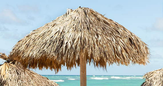Palapa de playa, sombrilla de playa y mar Caribe. photo