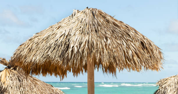 istock Beach palapa, Beach umbrella and Caribbean sea. 1361026984