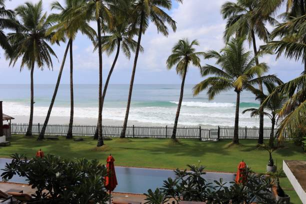 istock beautiful palm trees - Sri Lanka, Asia 1361028592