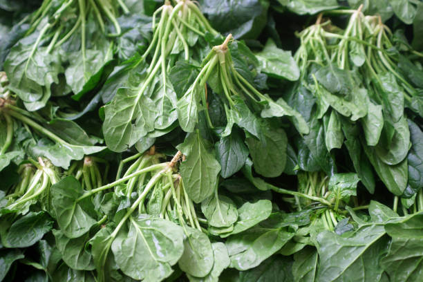 istock pile of fresh spinach 1361034002