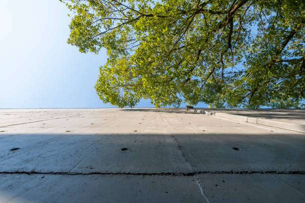 Wall protecting neighbors from noise from the road