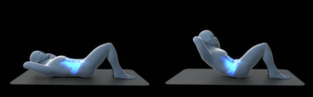 istock 3D Illustration Of Floor Crunch Workout 1361035400