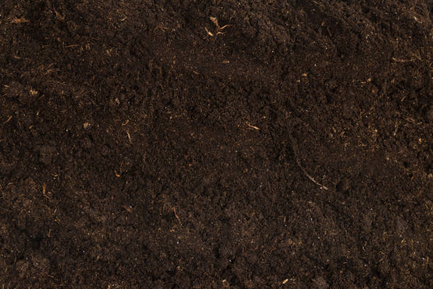 istock Soil for plant isolated on white background. 1361049281
