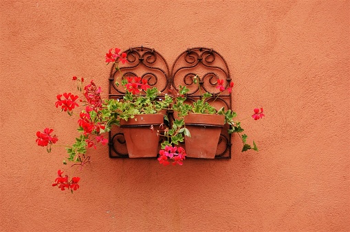 Terracotta flower pots with red and green plants, held up to a terracotta wall by a rusty metal plant pot holder.