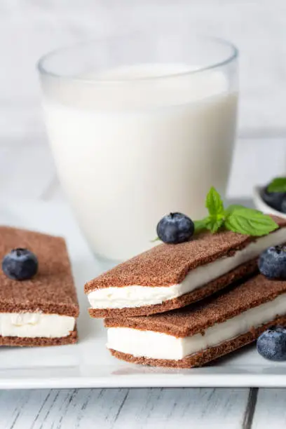 Chocolate biscuit with milk filling and berries on a plate. Chocolate-milk kids dessert. (Turkish dessert; sut dilimi)