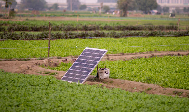 solar energy in daily life New Delhi, India-Dec 12 2021: single Solar panel plate installed on agriculture green field area, small setup of solar panel with battery in village area of delhi. lake kariba stock pictures, royalty-free photos & images