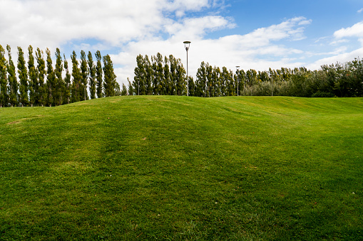 Golf ball close to a hole on a golf course.