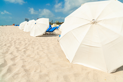 Large white beach umbrellas along the the shoreline in Miami Beach.