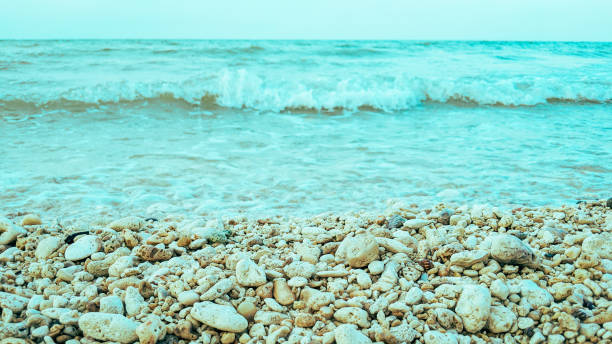 istock beautiful clear sand and rocks beach background 1361082759