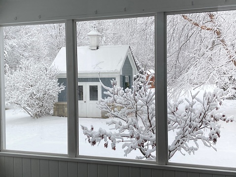 a look out of the windows at home showing winter snow covered evergreen trees, landscaping, christmas tree, bedrooms views.