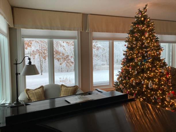 istock Snowy Scenes out the window 1361086114