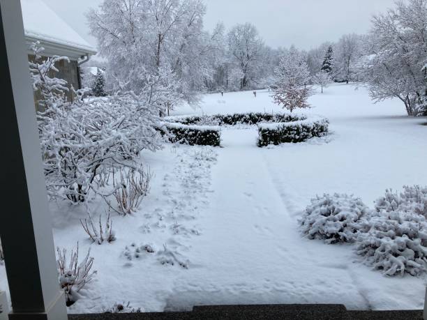 istock Snowy Scenes out the window 1361086131