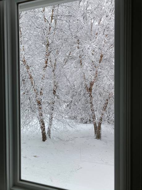 istock Snowy Scenes out the window 1361086709