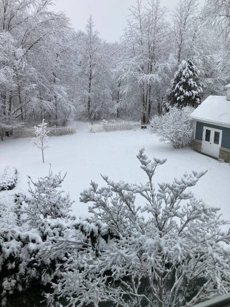istock Snowy Scenes out the window 1361086712