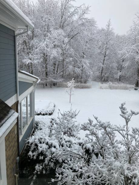 istock Snowy Scenes out the window 1361086714