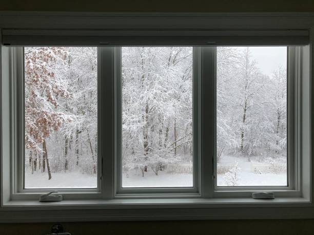 istock Snowy Scenes out the window 1361086737