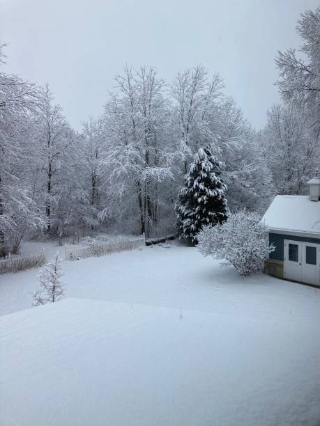 istock Snowy Scenes out the window 1361086771