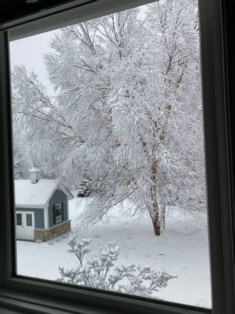 istock Snowy Scenes out the window 1361086794