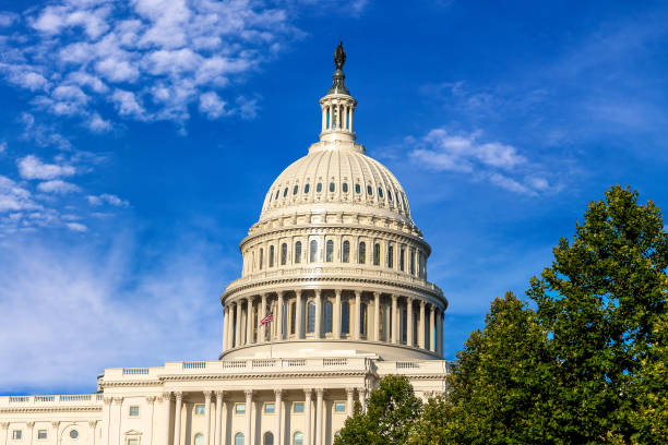 istock The United States Capitol building 1361087976