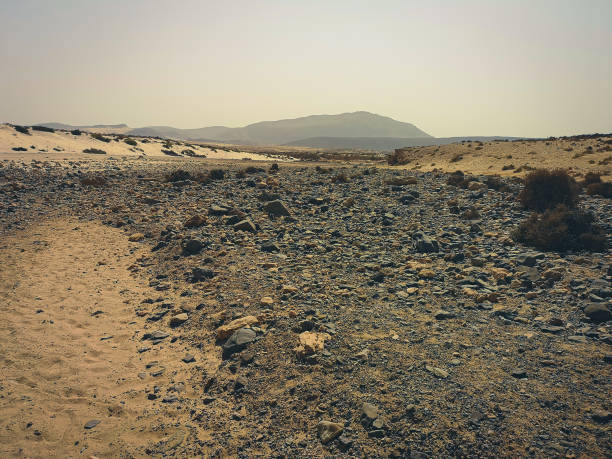 Wild desert view on a sunny day, Cape Verde. Rubbish on the rocks, small hills in the distance. Hot afternoon on a tropical island. Selective focus on the details, blurred background.