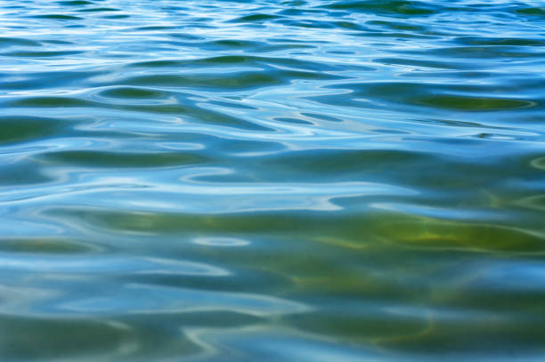 istock The background is water. Sea water. Emerald green water surface. 1361090300