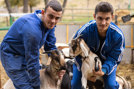 portrait of two young livestock farmers with their goats in their farmyard. concept of young people working in livestock and agriculture