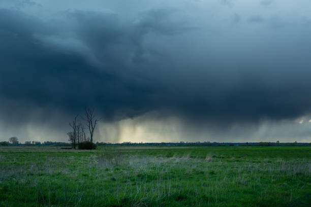 istock Cloud with rain over the meadow and lonely trees 1361093979