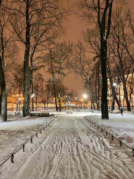 istock Night winter square in St. Petersburg 1361098493