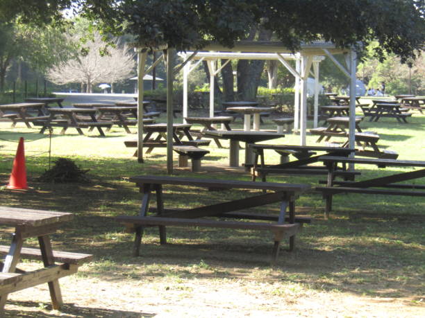 istock Japan. Nice sunny day in October. Park. Empty BBQ area. 1361100402