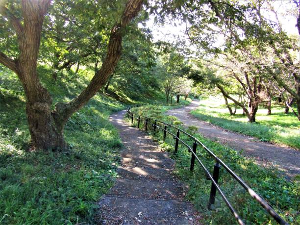 istock Japan. Nice summer day in October. At the park. 1361100510