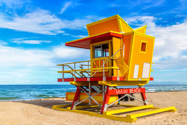 istock Lifeguard tower in Miami Beach 1361101379