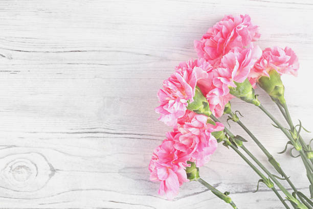 istock A bouquet of pink carnations. 1361101455