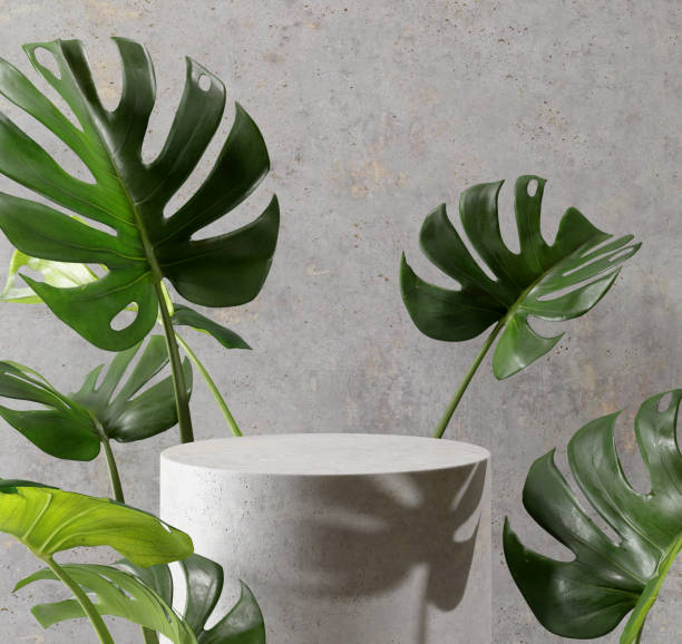 istock Minimal concrete podium display surrounding with Monstera leaves. Abstract background. 3D render. 1361109086