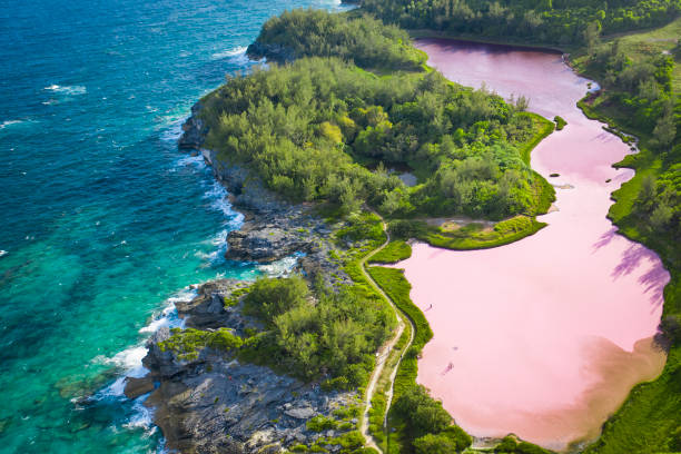 Bermuda Ocean and Landscape photos