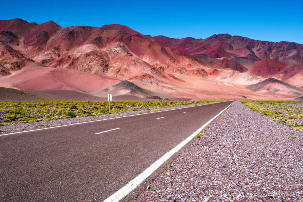 route to the mountains. - argentina landscape scenics south america imagens e fotografias de stock