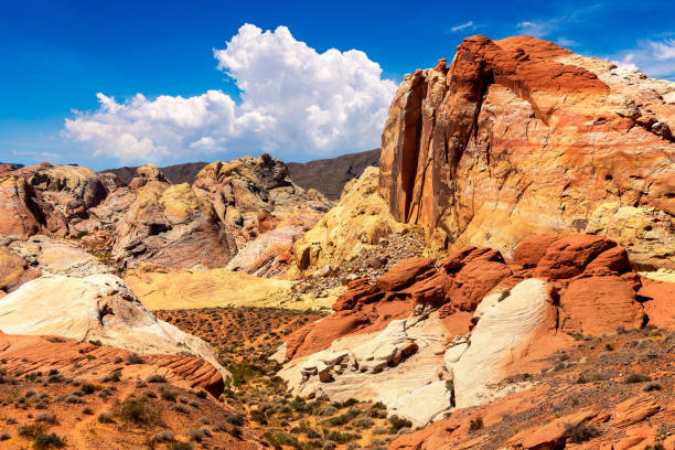 istock Valley of Fire State Park 1361121543