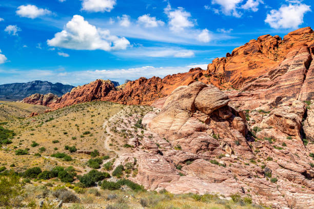 レッド ロック キャニオン、ネバダ州、アメリカ合衆国 - nevada usa desert arid climate ストックフォトと画像