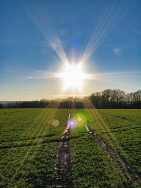 Beautiful sun star with ruts in the field under blue sky.