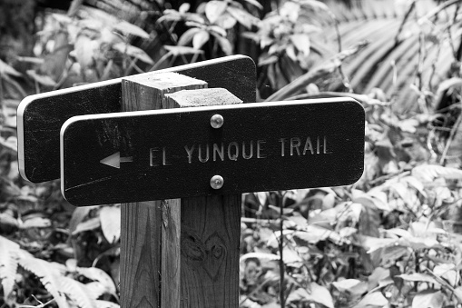 El Yunque trail signs