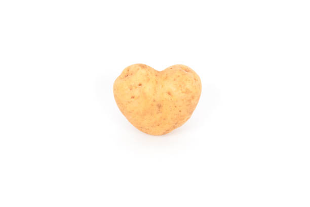 istock Fresh potato heart form tuber on white background 1361125135