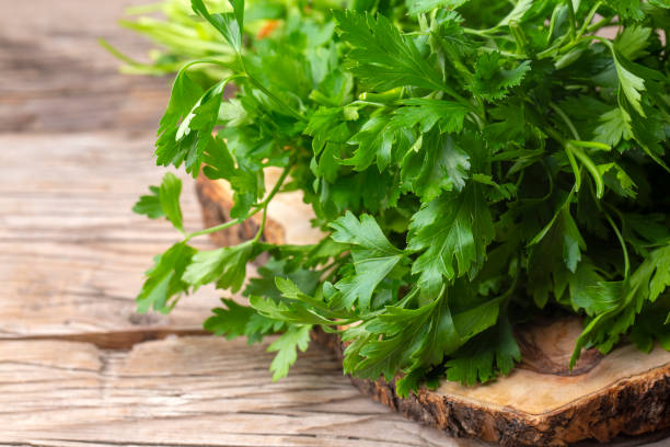 istock Fresh parsley on the wooden background 1361129193