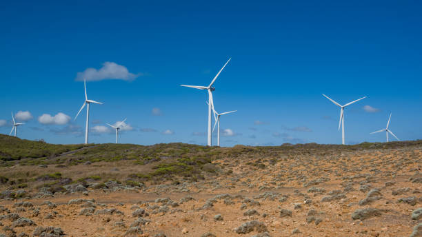 istock Wind Farm by the Coast 1361129271