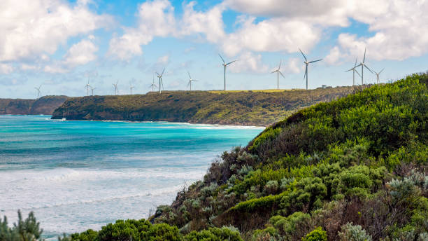 istock Wind Farm by the Coast 1361130365